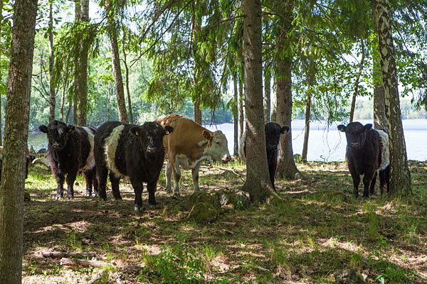 Humlenäs Naturreservat Humlenäs Naturreservat