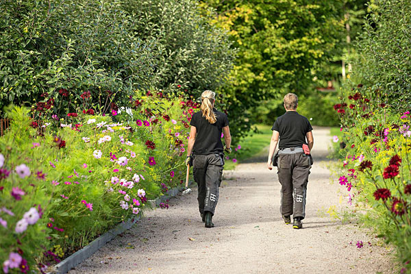 Nyttehaver på Huseby