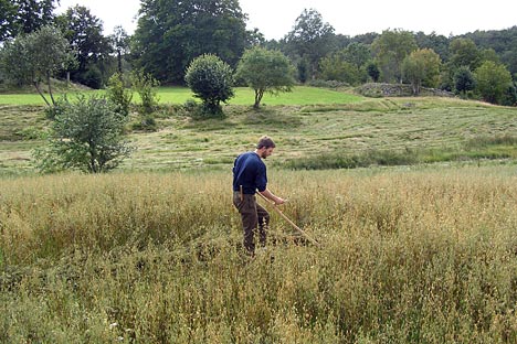 Ire Naturreservat