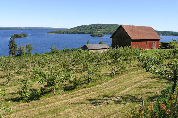 Udsigt over Ivösjön