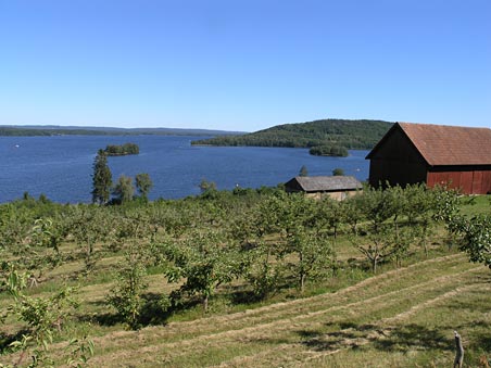 Udsigt over Ivösjön i Nordskåne Udsigt over Ivösjön i Nordskåne