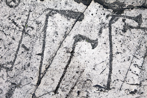 Helleristning i Järrestad Helleristning i Järrestad