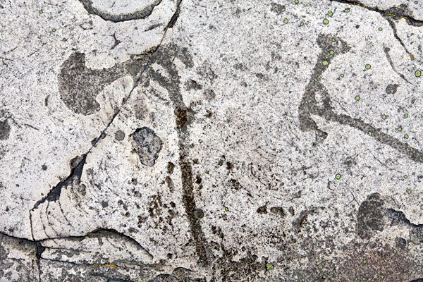 Helleristning i Järrestad Helleristning i Järrestad