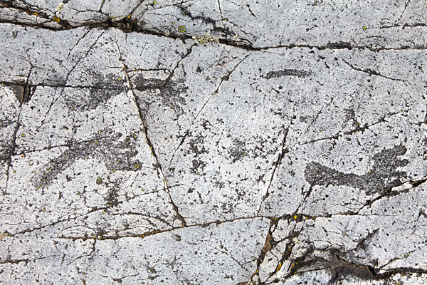 Helleristning i Järrestad Helleristning i Järrestad