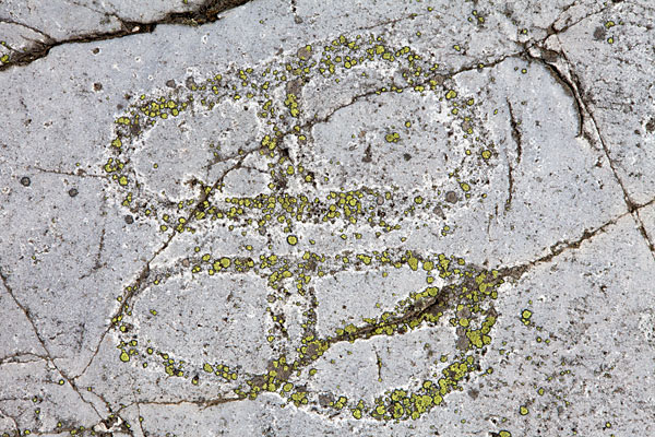 Helleristning i Järrestad Helleristning i Järrestad