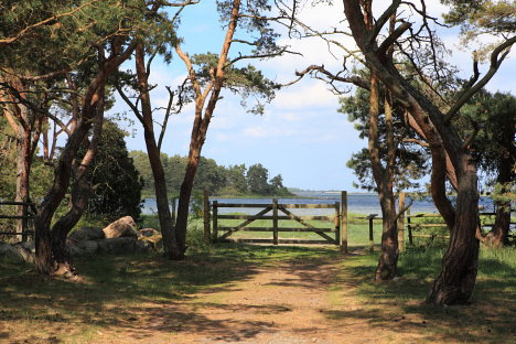 Kalmarsundsleden Kalmarsundsleden