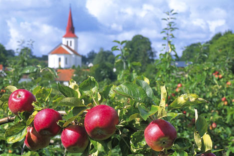 Æbledistrikt Österlen