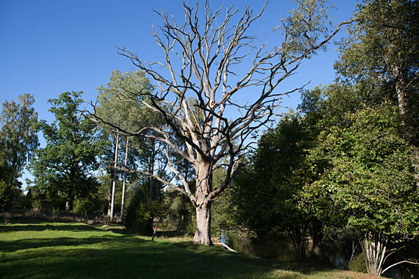 Korrö Naturreservat