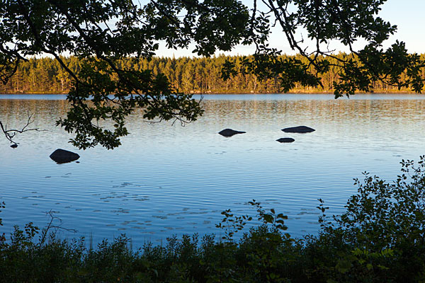 Långasjönäs Naturreservat