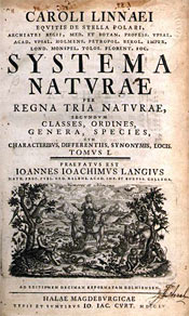 Systema Naturae, af Caroli Linnaei