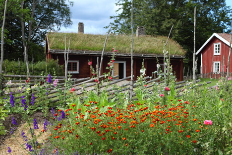 Linnéhaven i Råshult