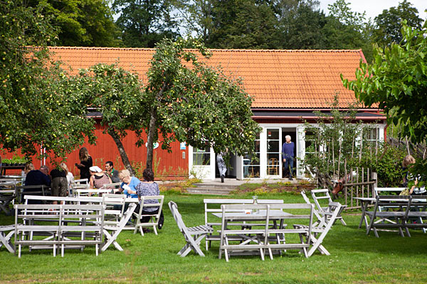Café i Linnés Råshult
