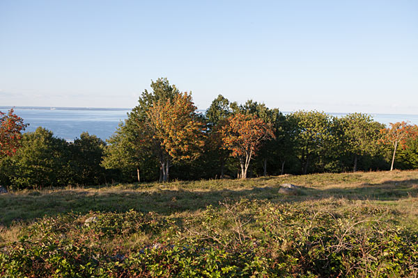 Listershuvud Naturreservat