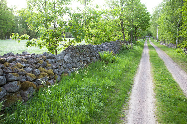 Lövö Naturreservat