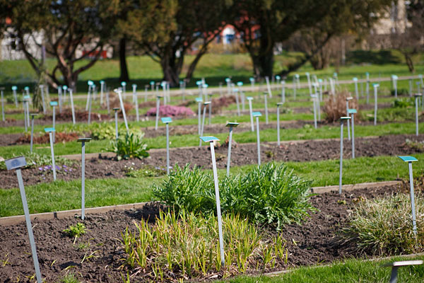 Lunds Botaniske Have