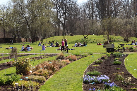 Lunds Botaniske Have - Botaniska Trädgården Lund