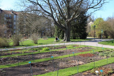 Lunds Botaniske Have - Botaniska Trädgården Lund