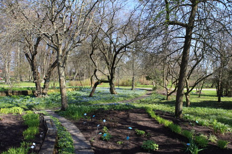 Botaniska Trädgården Lund