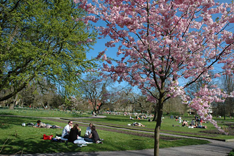 Lunds Botaniske Have - Botaniska Trädgården Lund