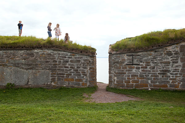 Visingsö Borg (Näs Slotsruin)