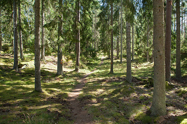 Natursti på Lönnebergaleden