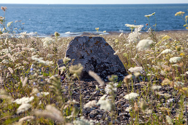 Vikingegrav ved Neptuni Åkrar