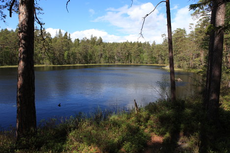 Norra Kvills Nationalpark, Sverige