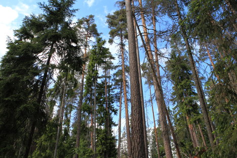 Norra Kvills Nationalpark, Sverige