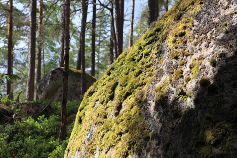 Norra Kvills Nationalpark, Sverige