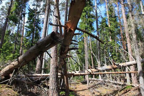 Norra Kvills Nationalpark, Sverige