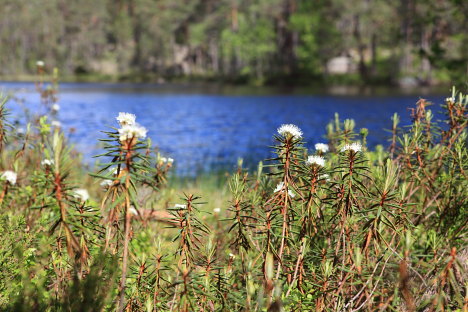 Norra Kvills Nationalpark, Sverige