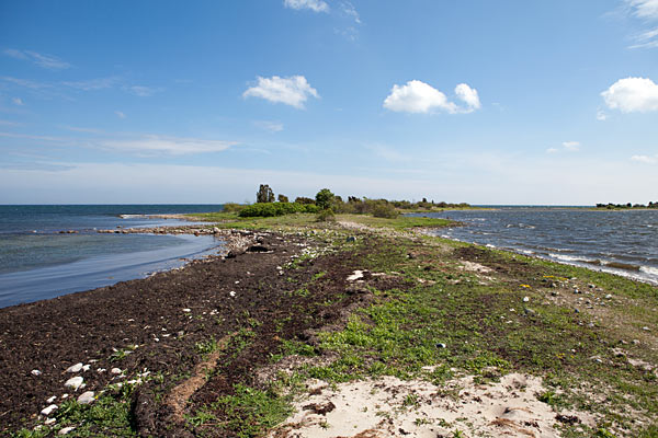 Örarevets Naturreservat