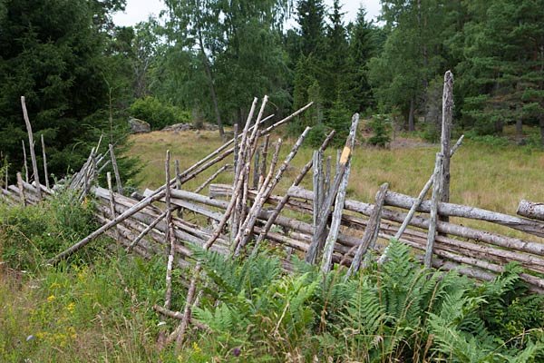 Gärdsgårdar ved Saxtorp