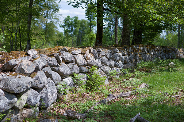 Prästeboda Naturreservat