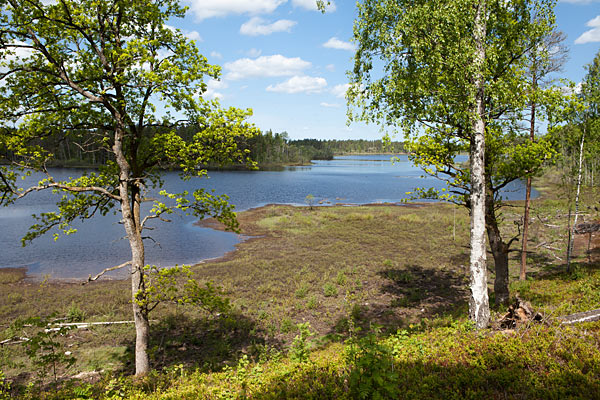 Prästeboda Naturreservat