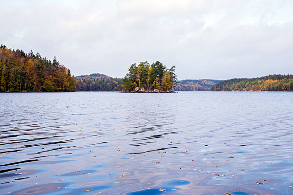 Vandreferie i Skåne, Sverige. Vandreruten fra kyst til kyst byder på let vandring