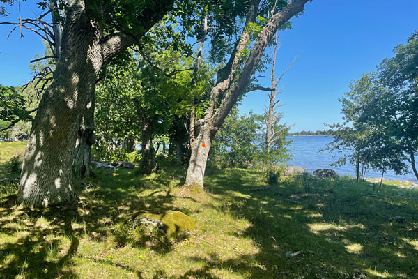 Sladö Sladö