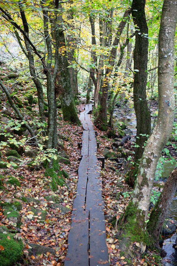 Söderåsens Nationalpark Söderåsens Nationalpark