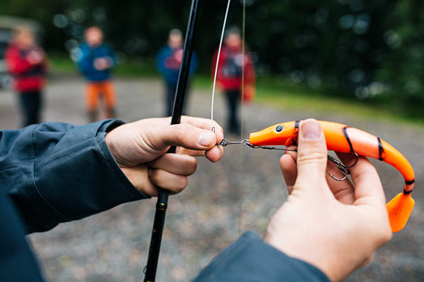 Fiskeri i Västra og Östra Ringsjön