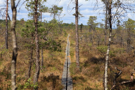 Store Mosse Nationalpark