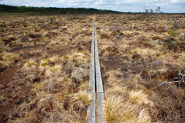 Nationalpark med imponerende vidder