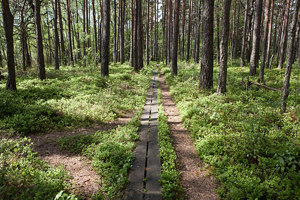 Store Mosse Nationalpark