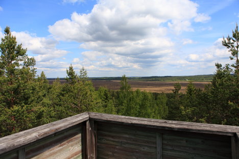 Udsigtstårn i Store Mosse