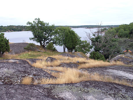 Tjärö natur