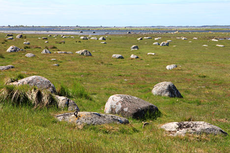 Naturreservatet Torhamns Udde