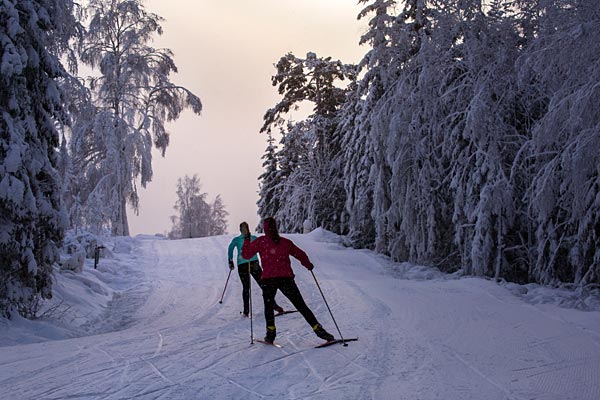 Langrend ved Ulricehamn, Sverige