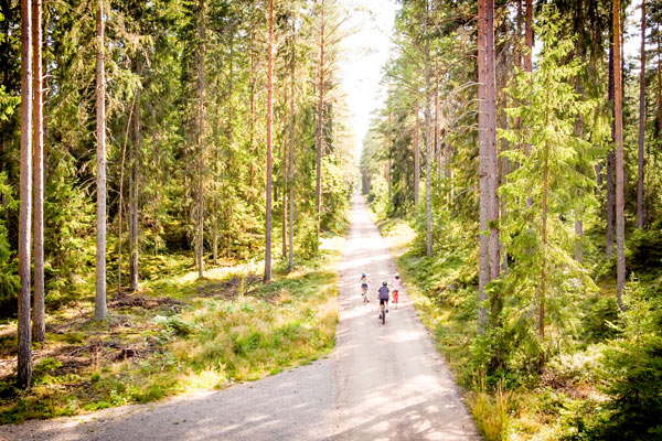 Vimmerby ligger smukt omgivet af skove