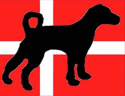 Tag din hund med på ferie i Sverige Tag din hund med på ferie i Sverige