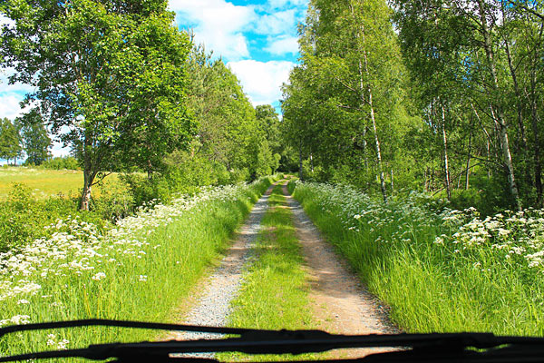 Lej autocamper i Sverige