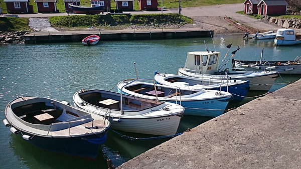 Lej en lille båd I havnen med redningsveste, osv.